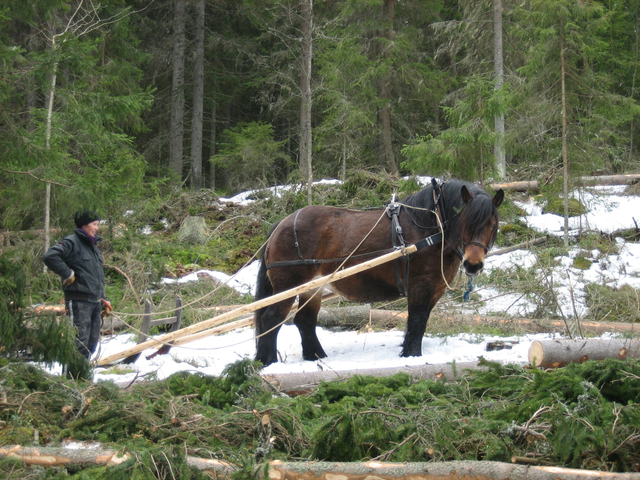 459922_2747794985060_1918681731_o-1