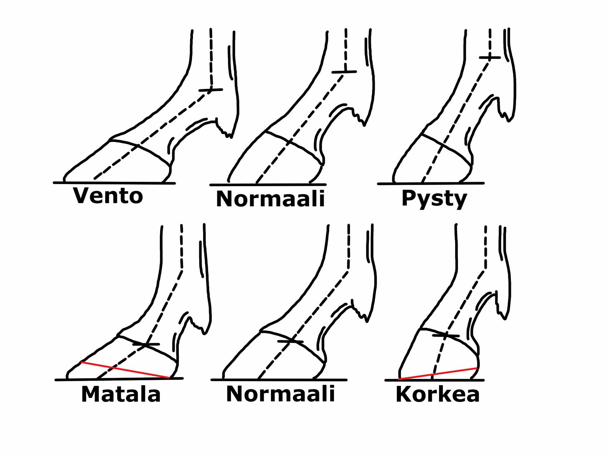 28459961_10156898500223475_1114319306_o