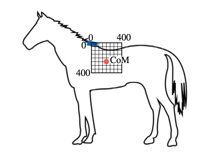 Hevosen massakeskipiste