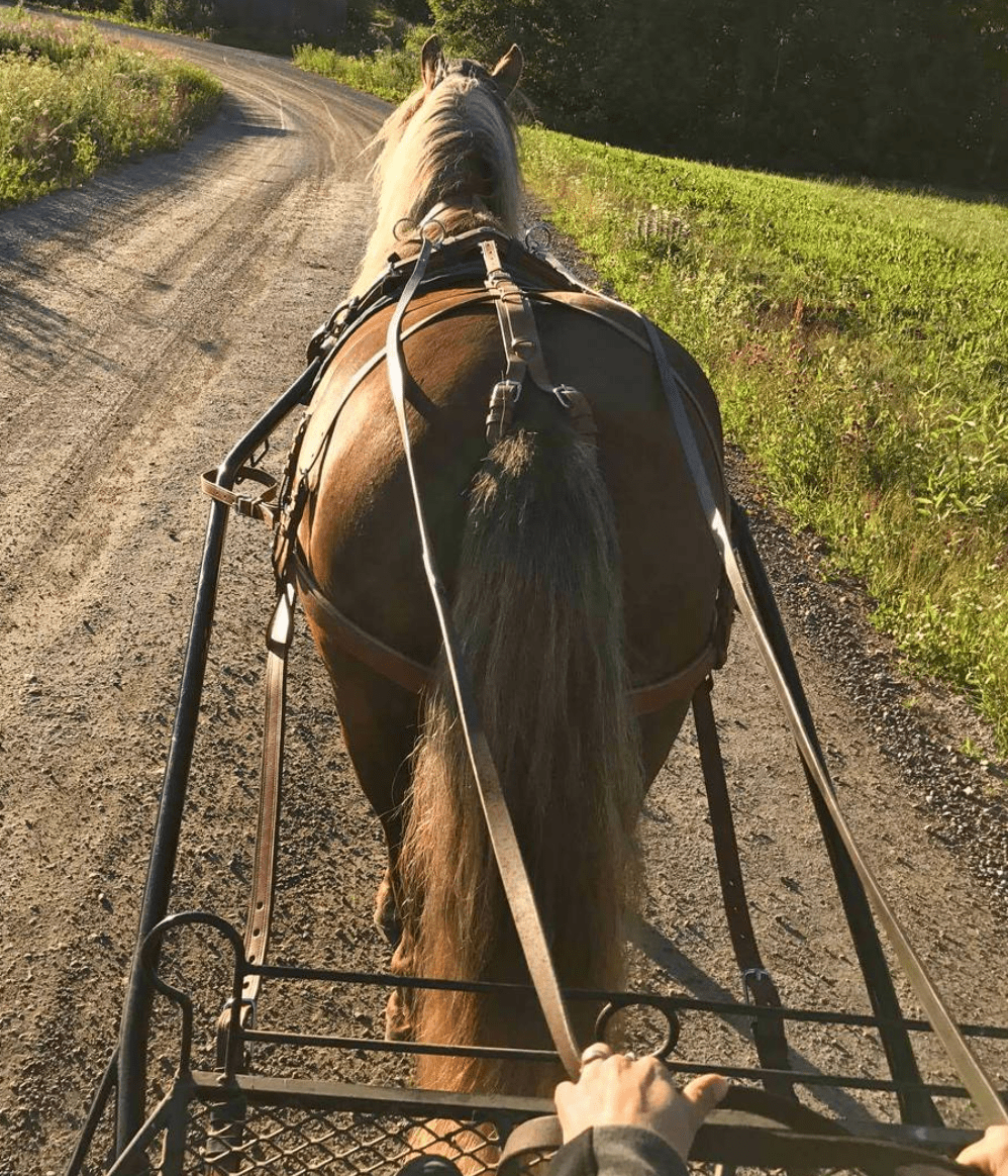 näyttökuva 2019-01-17 kello 20.40.02