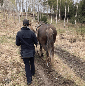 Ohjasajo parivaljakolla