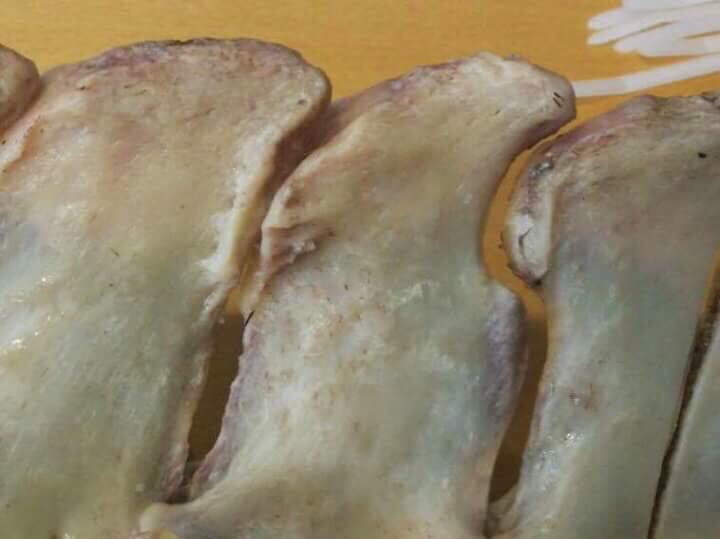 Kissing spine hevosella