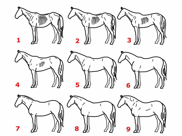 Henneke lihavuuskunnon laskeminen