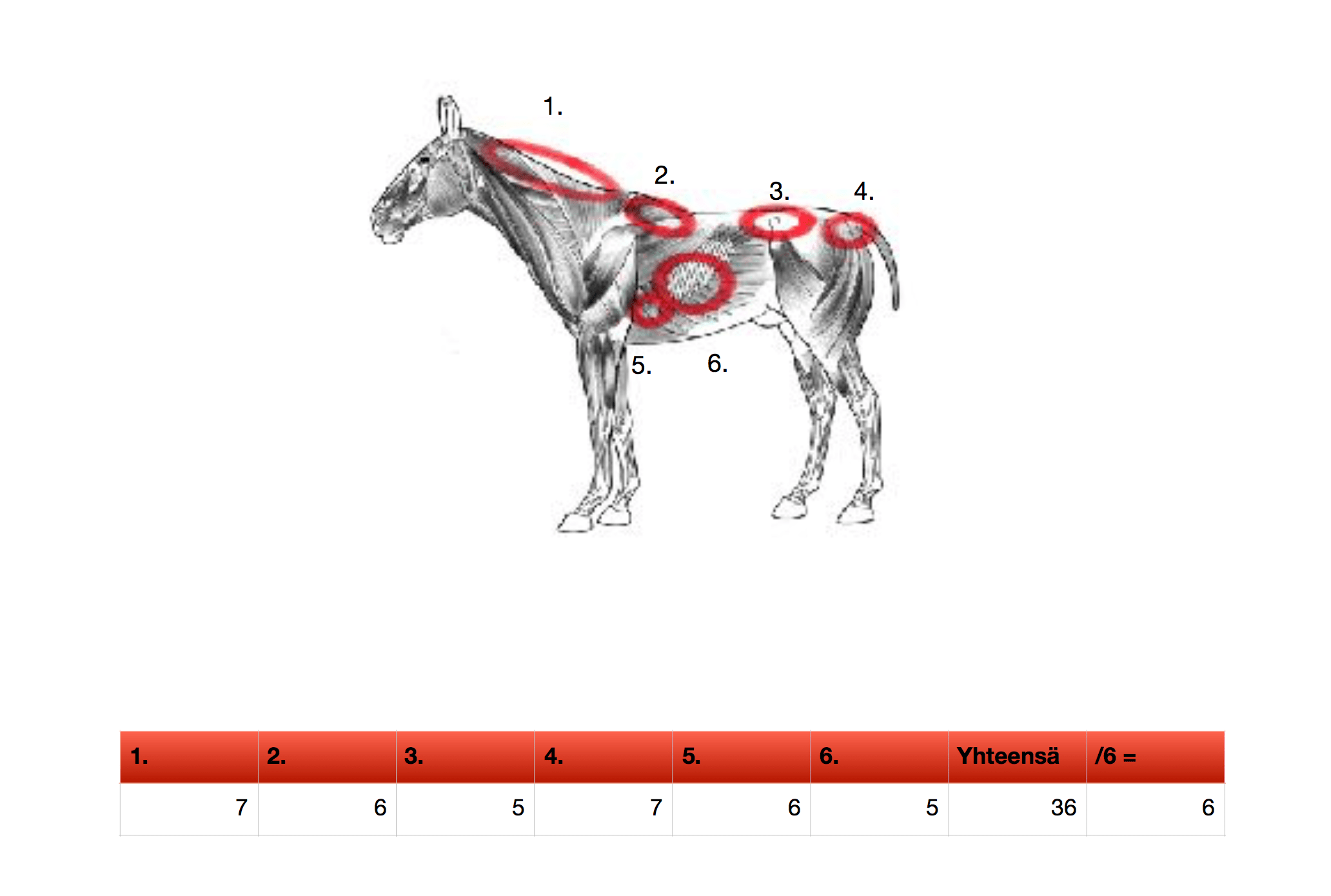 Henneke pisteiden laskeminen