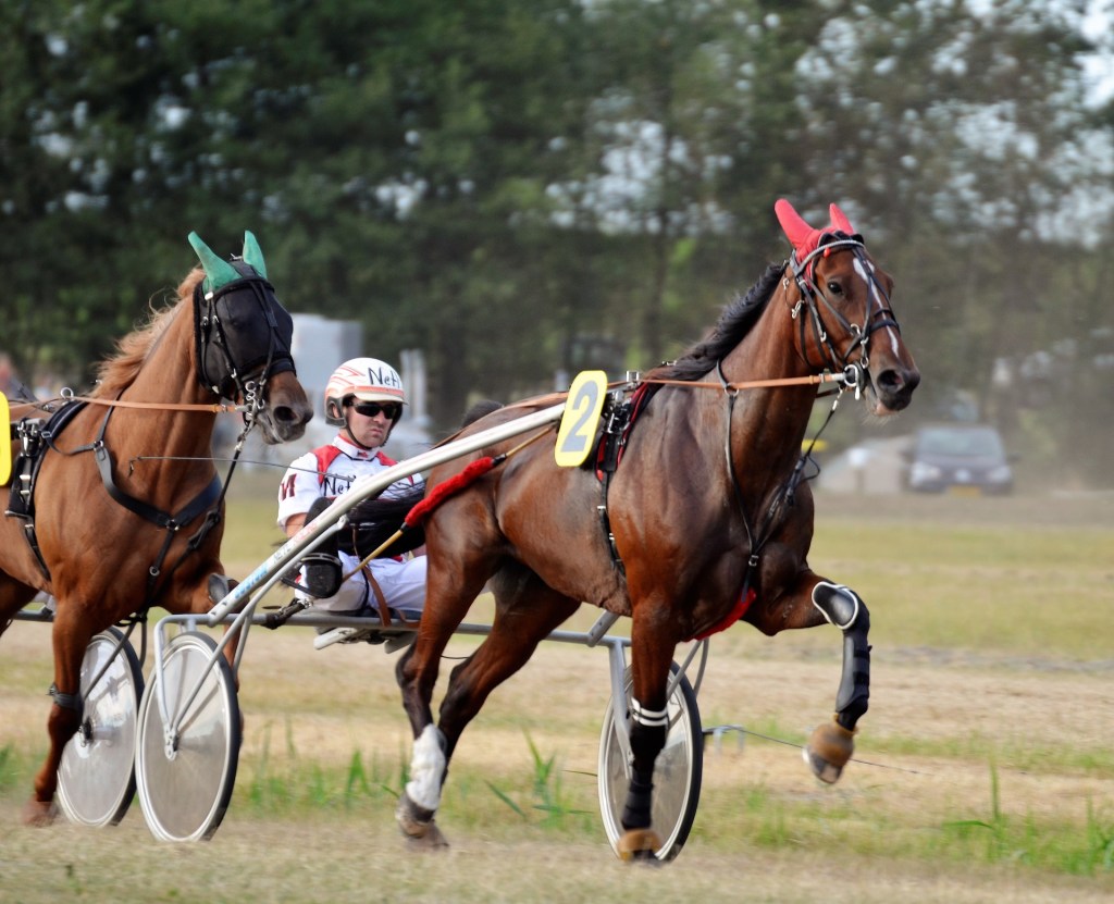 Vetääkö hevonen selällä vai&nbsp;rinnuksella