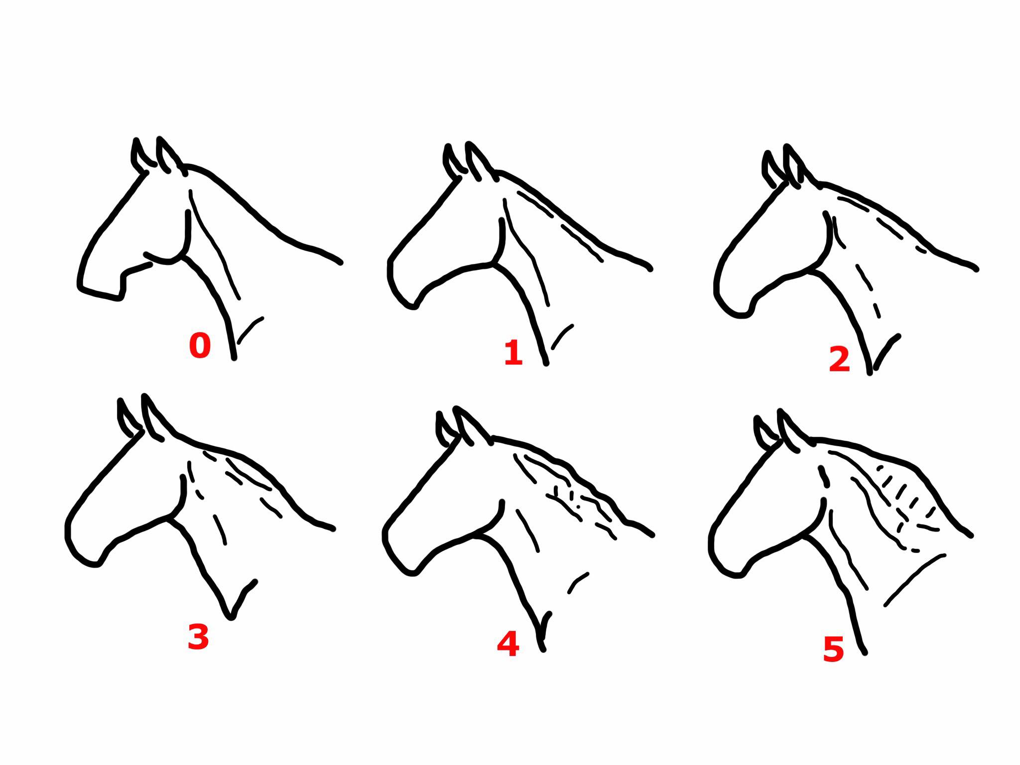 CNS cresty neck score