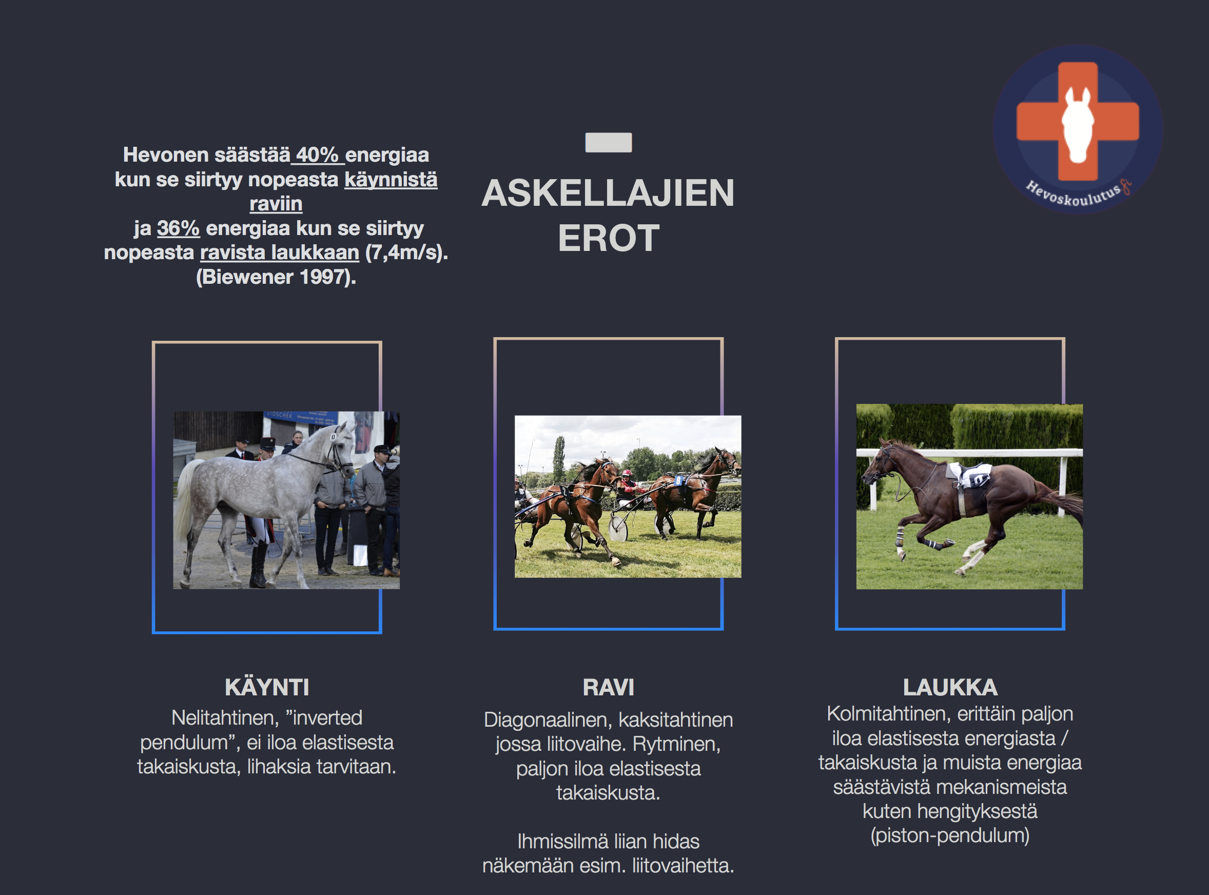 hevosen askellajien erot