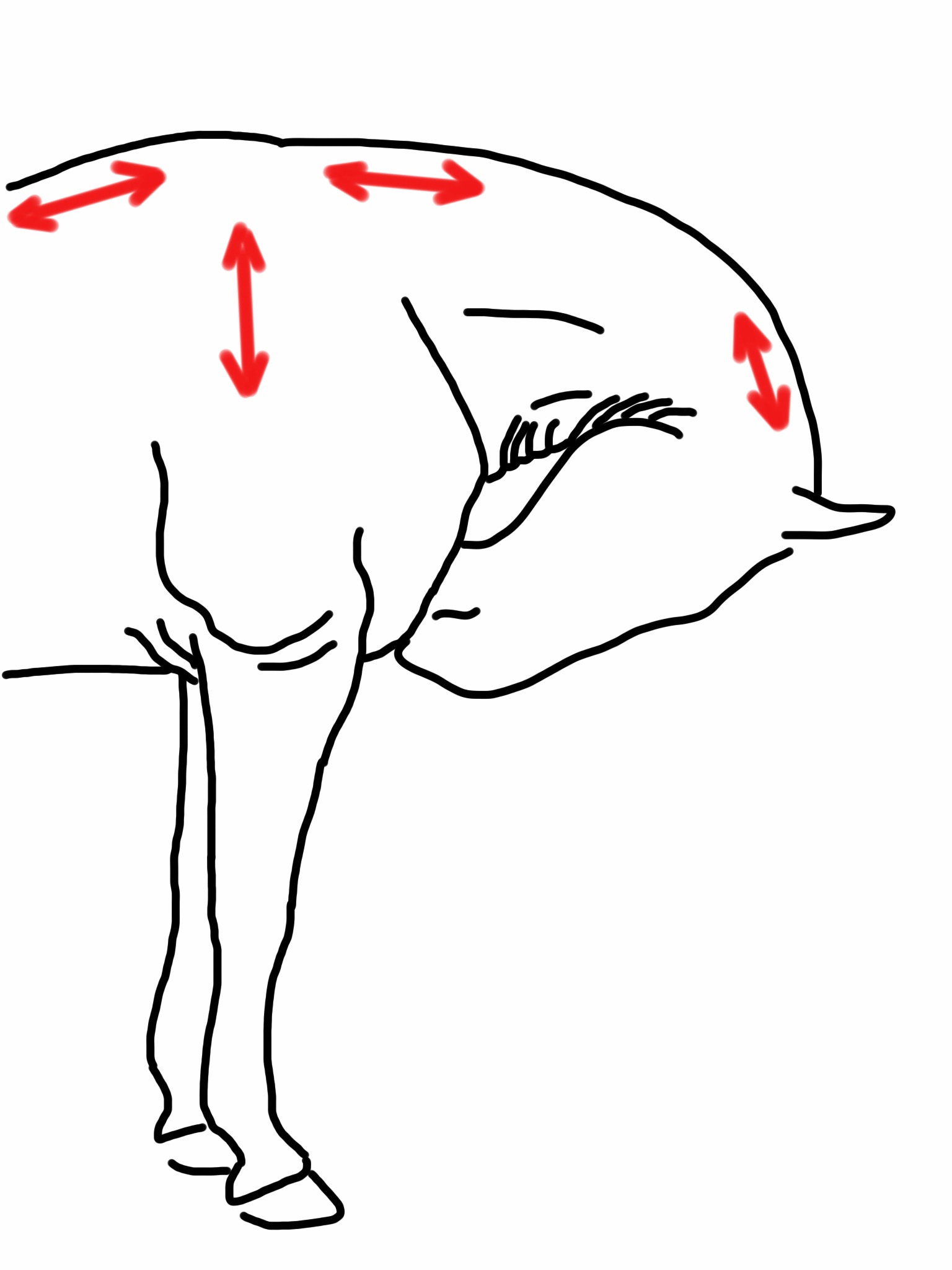 Leuka rintaan venytys