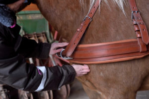 Rintaremmin sovittaminen