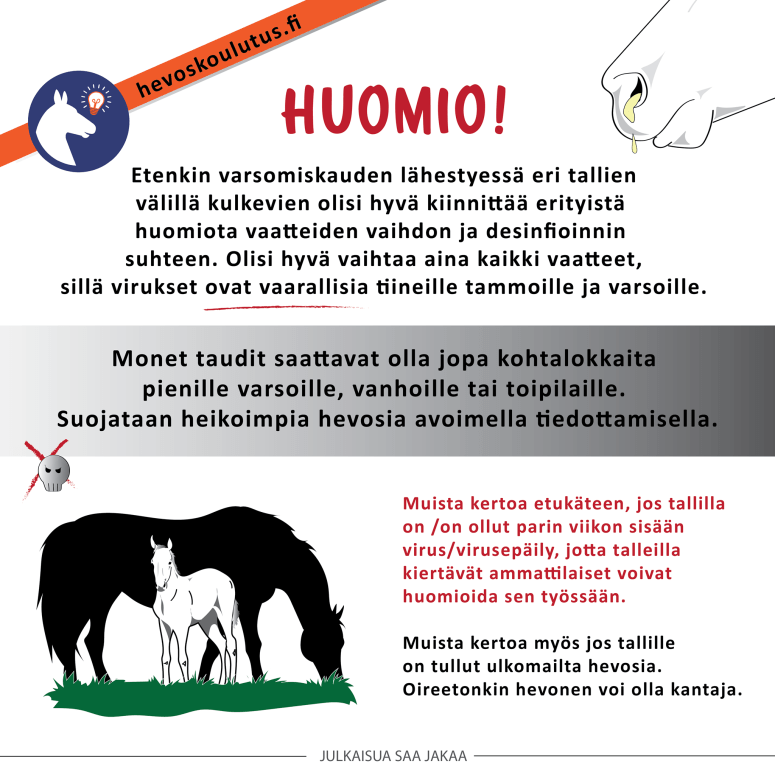 hevosten virukset