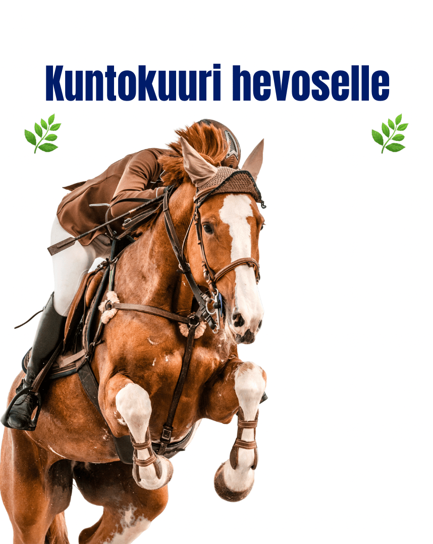 Kevään kuntokuuri hevoselle